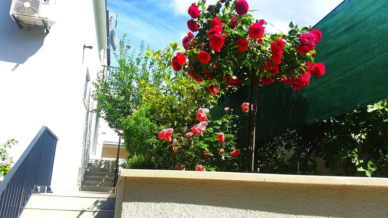 Adriatic Pearl Korcula Apartments 外观 照片